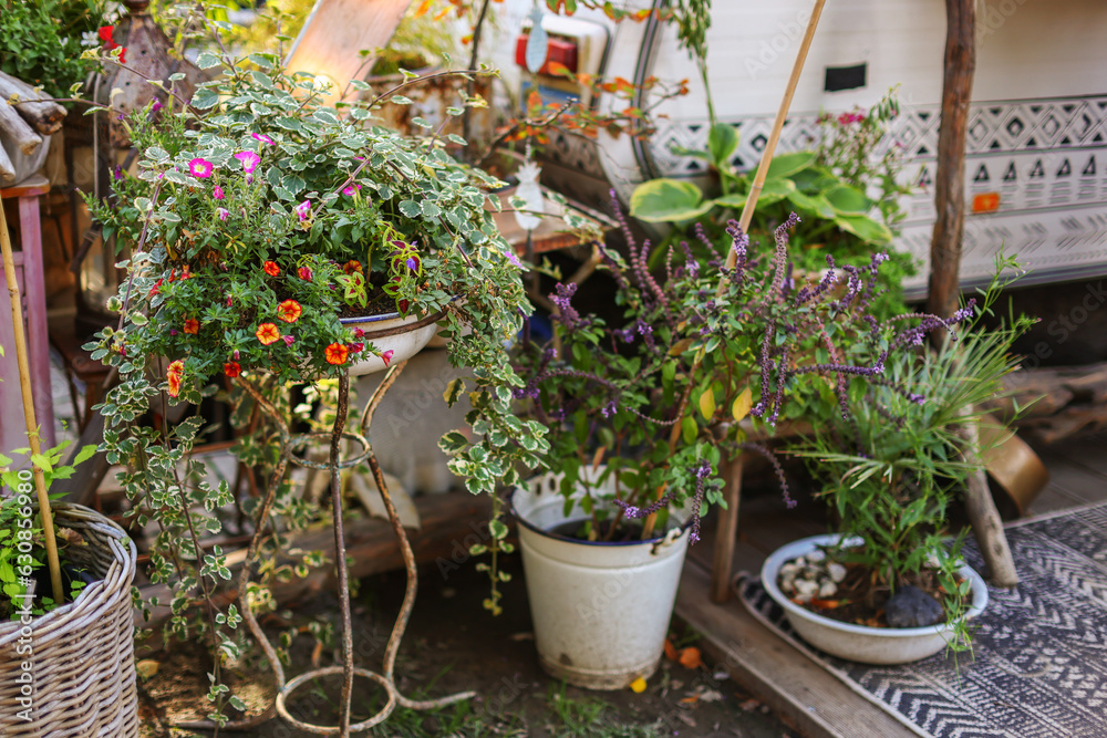 Garden shed surrounded by colorful potted plants and shrubs.