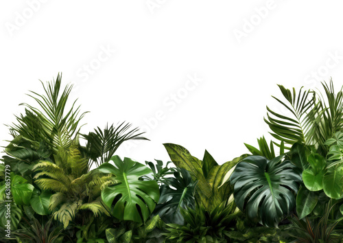 A frame of green tropical plants isolated on white