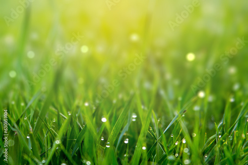 Nature background concept, Closeup green grass field with blurred park