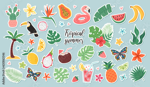 Set of tropical summer stickers. Icons for exotic vacation. Seasonal elements collection. Flamingos, flowers, pineapple, tropic leaves, citrus and exotic fruits, plumeria, watermelon, cocktails.