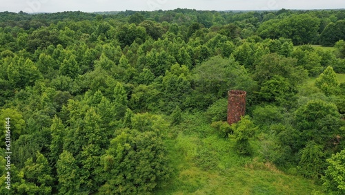 landscape with forest