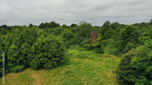 landscape with trees