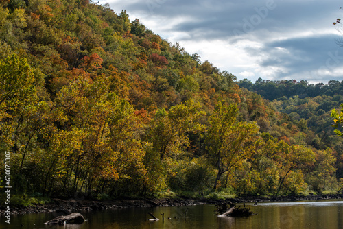 Autumn leaves beside the river in Arkansas