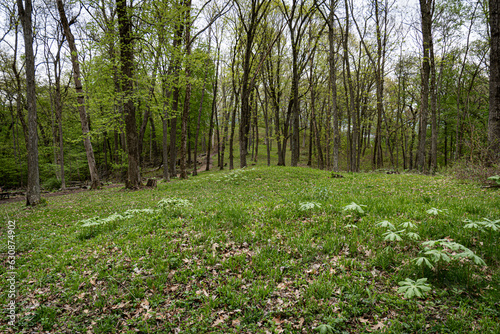 Quadro su tela Effigy Mounds National Monument and the Fire Point Mounds