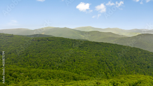 Misty Mountain Foggy View