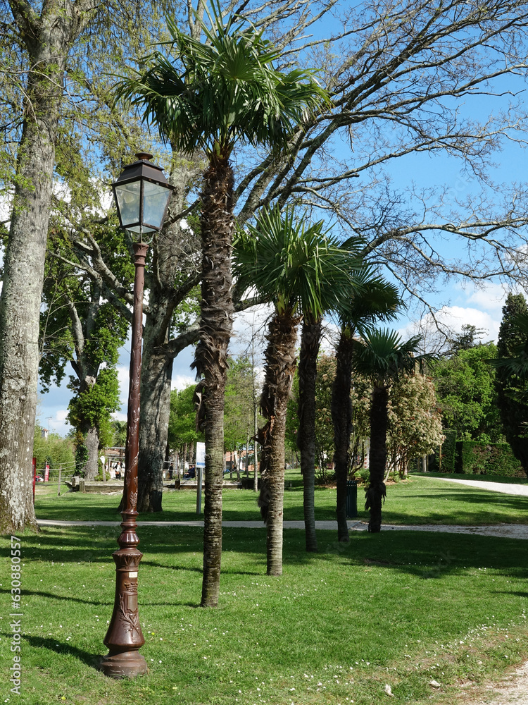 Fototapeta premium Parc Mauresque