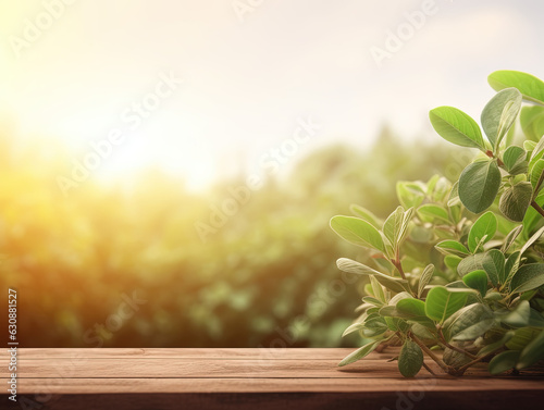 Wooden table with plant leaves - blurred green nature background - can be used to display products