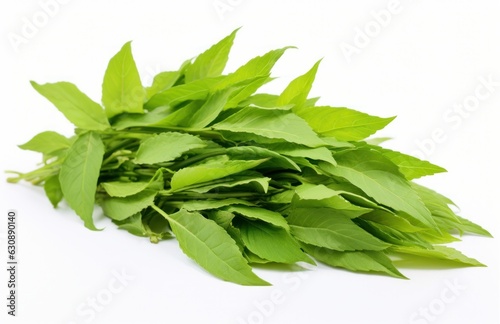 Green tea leaves