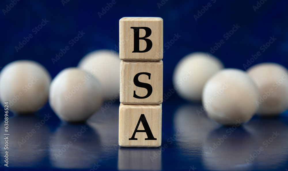 BSA - acronym on wooden cubes on a blue background with wooden balls BSA - acronym on wooden cubes on a blue background with wooden balls