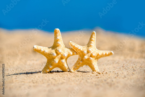 Two orange starfish lie on the seashore