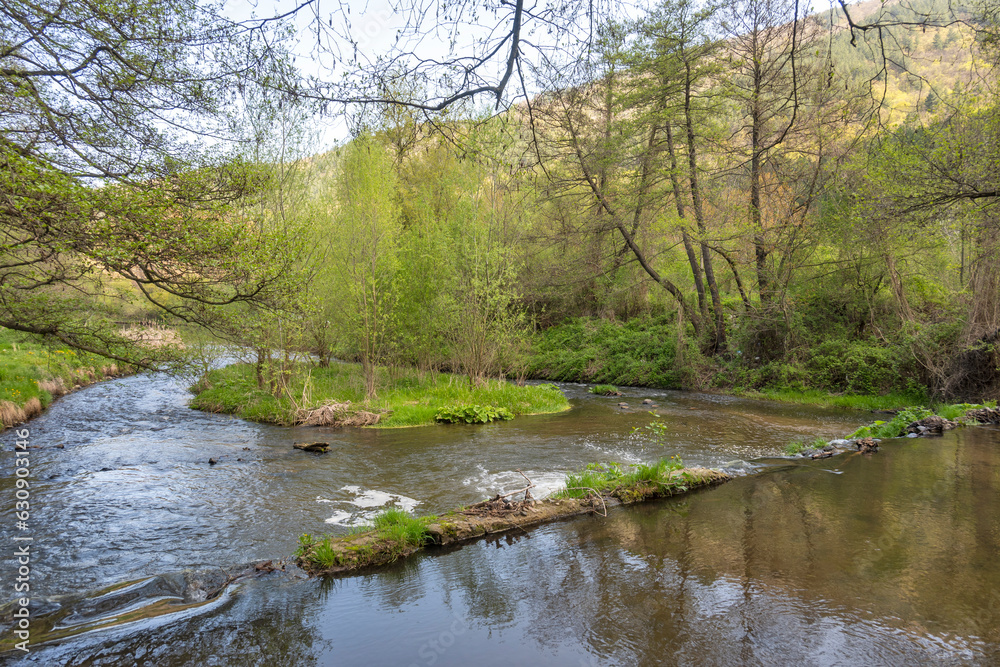 Spring Landscape of Iskar river near Pancharevo lake, Bulgaria