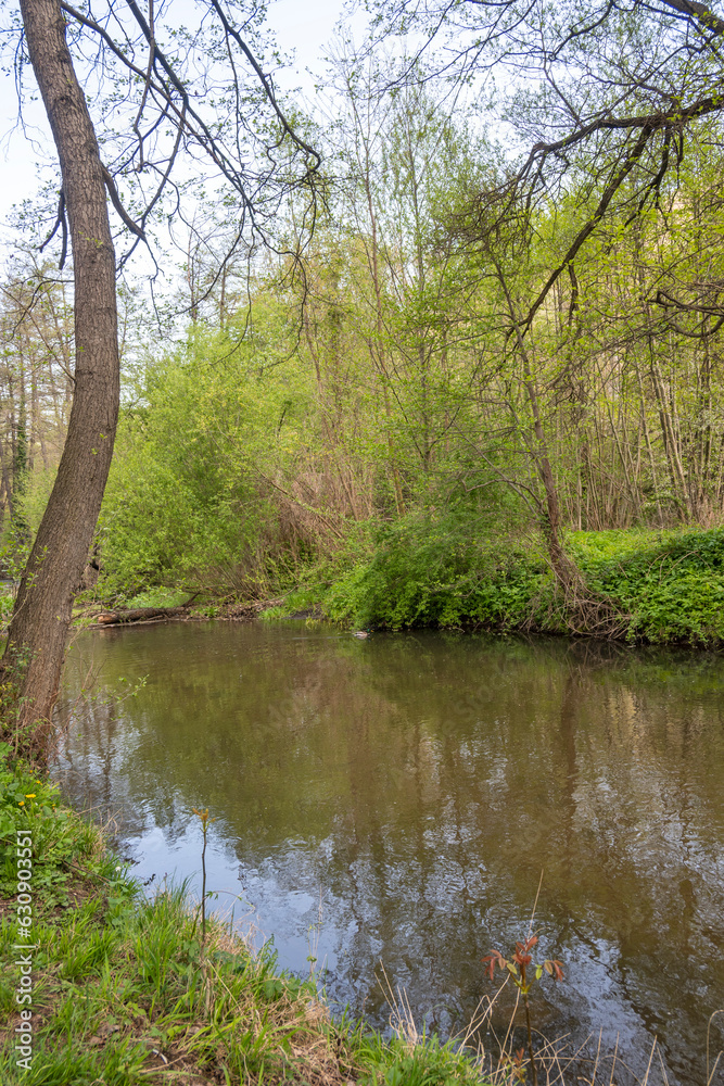 Spring Landscape of Iskar river near Pancharevo lake, Bulgaria Spring Landscape of Iskar river near Pancharevo lake, Bulgaria
