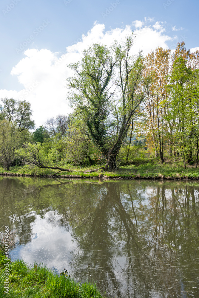 Spring Landscape of Iskar river near Pancharevo lake, Bulgaria Spring Landscape of Iskar river near Pancharevo lake, Bulgaria