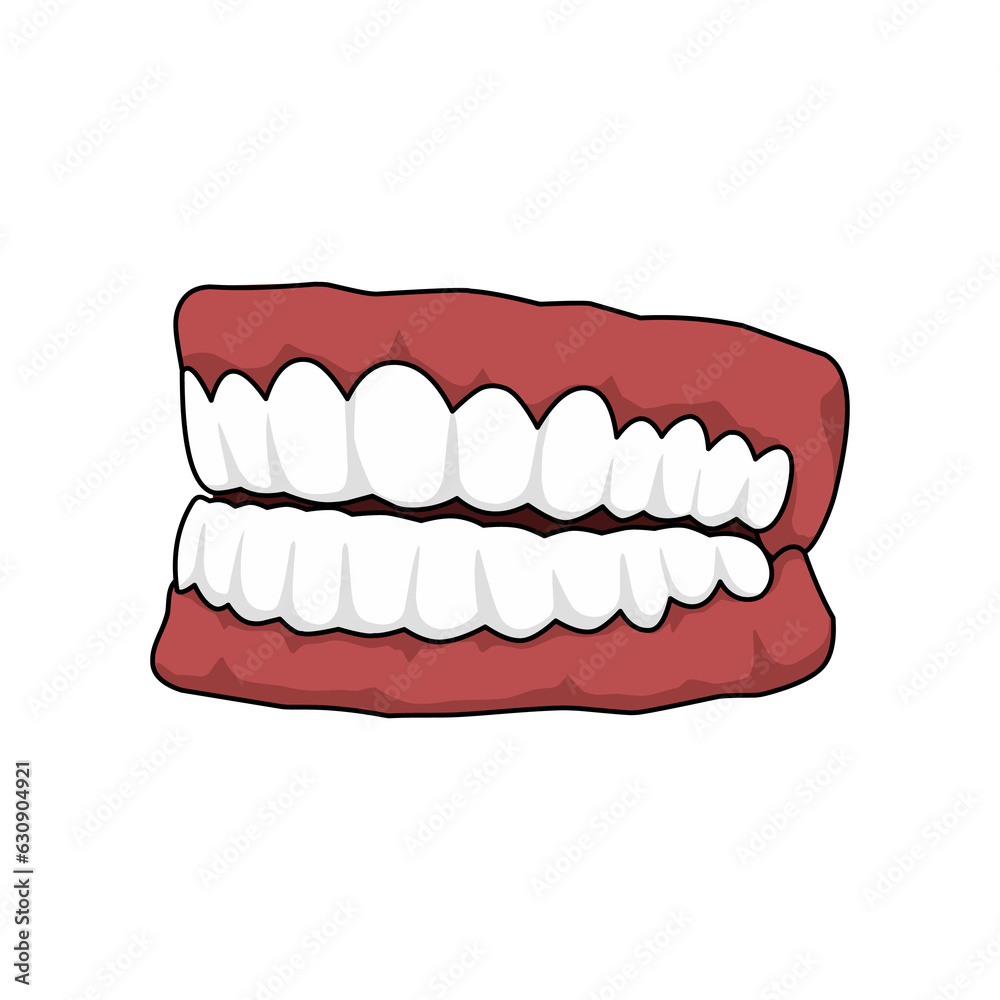 illustration of human teeth. transparent background illustration of human teeth. transparent background