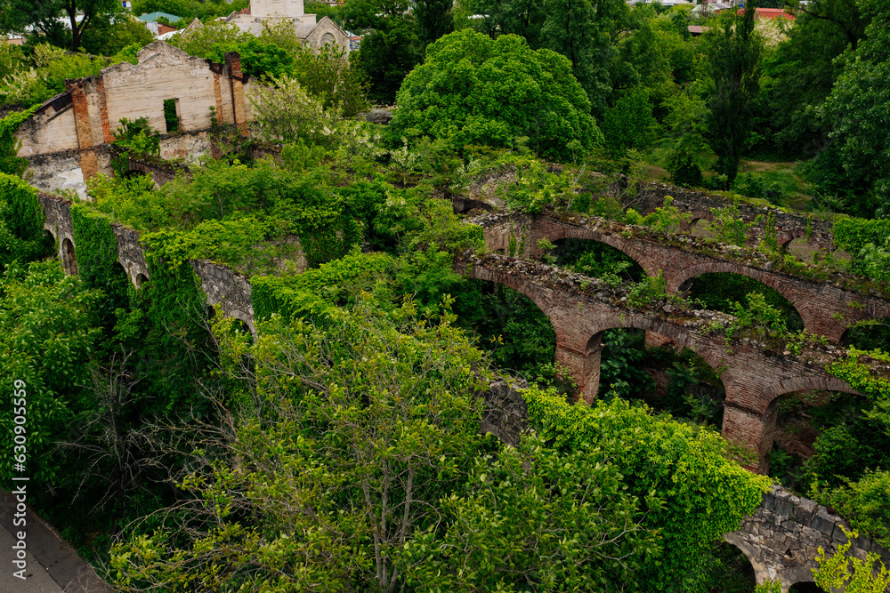 Old ruins of historical building overgrown by vegetation green post-apocalyptic concept