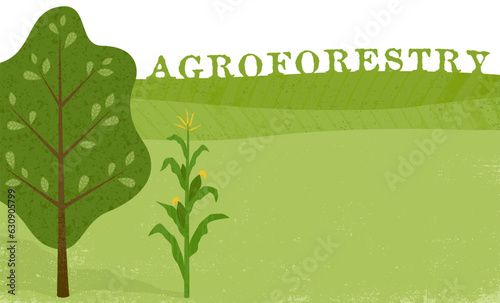 A tree and corn crop illustrating agroforestry concept, in a cut paper style with textures
