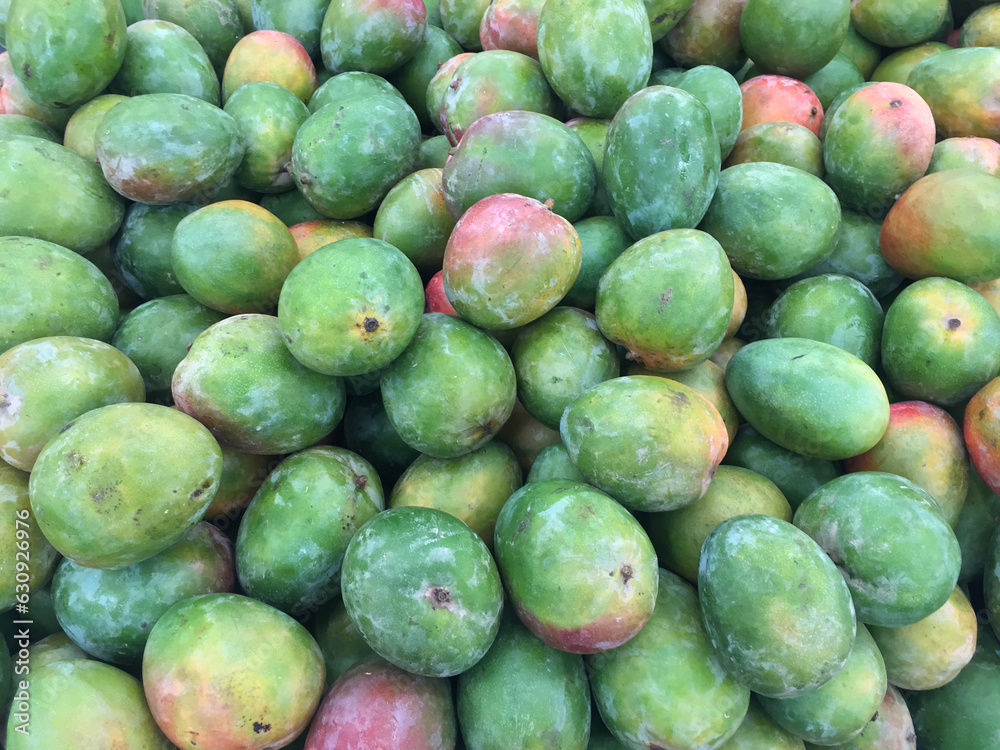 Mangos verdes amontonados. Mangos verdes amontonados.