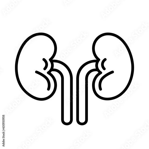 Kidneys icon vector illustration design, line art style icon, human internal organs