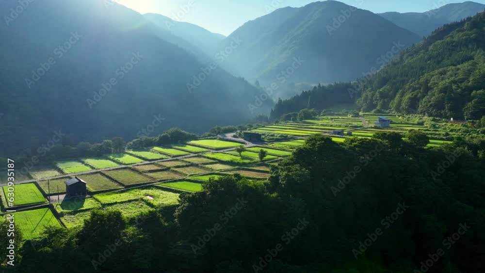 Japanese countryside in Japanese Alps, Shirakawago village terraced ...