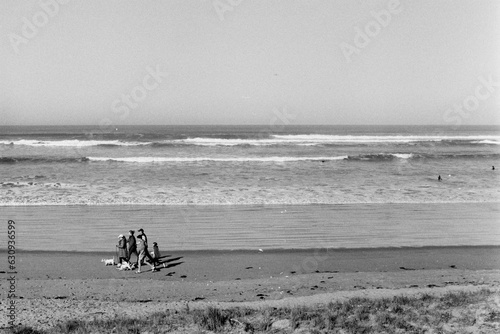 Journey along the sand