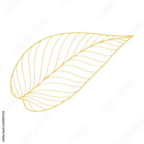 leaf line Illustration