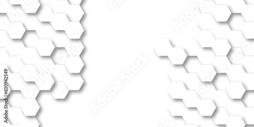 Abstract background with hexagon Background with white and black lines 3d Hexagonal structure futuristic white background and Embossed Hexagon , honeycomb white Background ,light and shadow ,Vector.