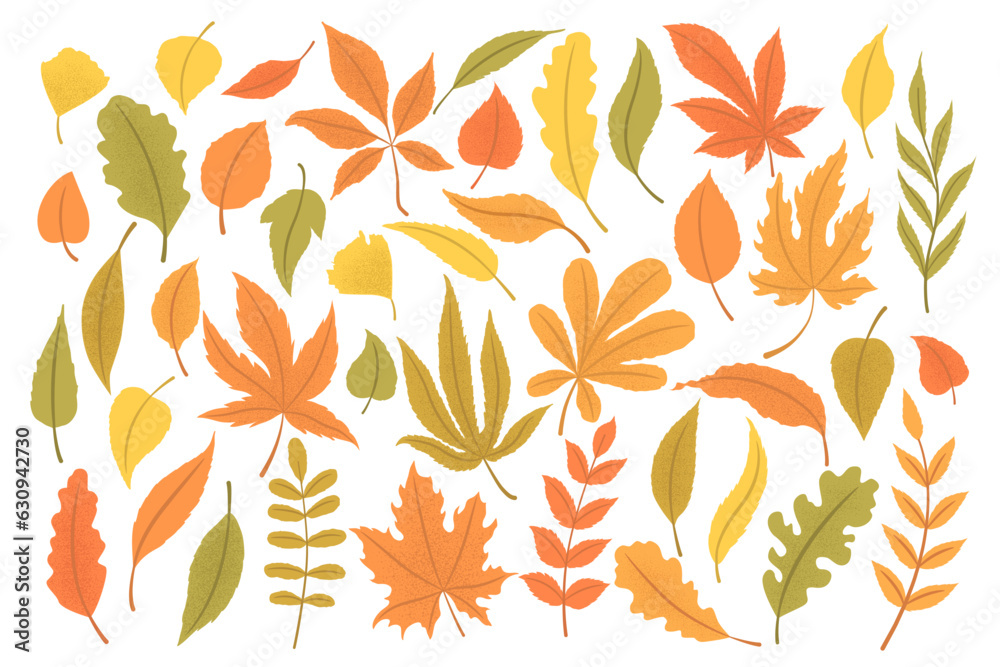 Vector colorful autumn leaves and branches collection isolated on white ...