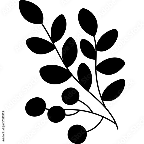 Branch Rowan Leaves Silhouette