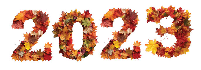 2023 year autumn leaves