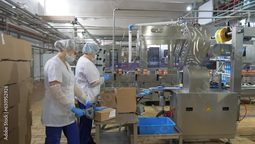 Cheese factory. Package line at dairy food manufacturing. Female factory workers at dairy production plant package the prepared product into boxes. Automated line. Package Conveyor.Dairy Food Industry
