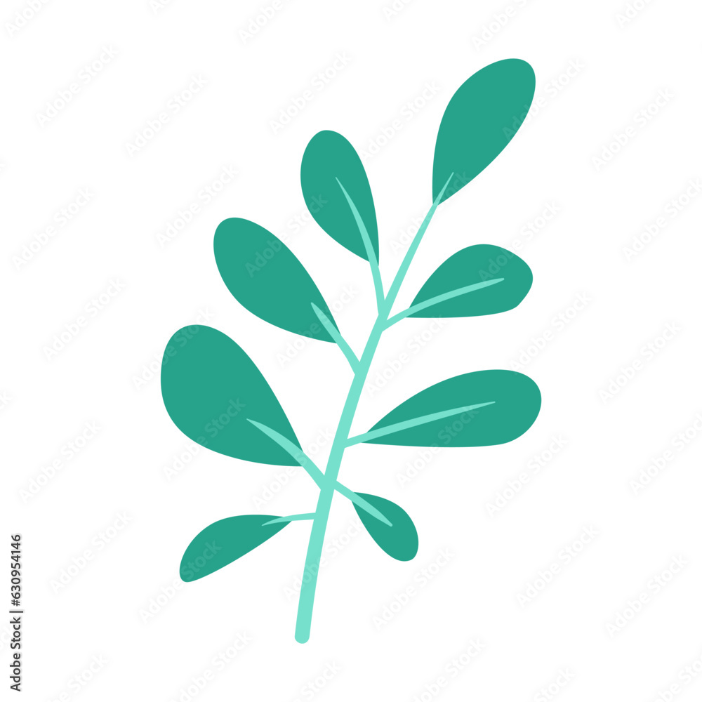 Green tree oval leaves vector. Cartoon drawing of leaves of plants, flowers isolated on white background. Nature, foliage, botany, flora, autumn or fall concept Green tree oval leaves vector. Cartoon drawing of leaves of plants, flowers isolated on white background. Nature, foliage, botany, flora, autumn or fall concept