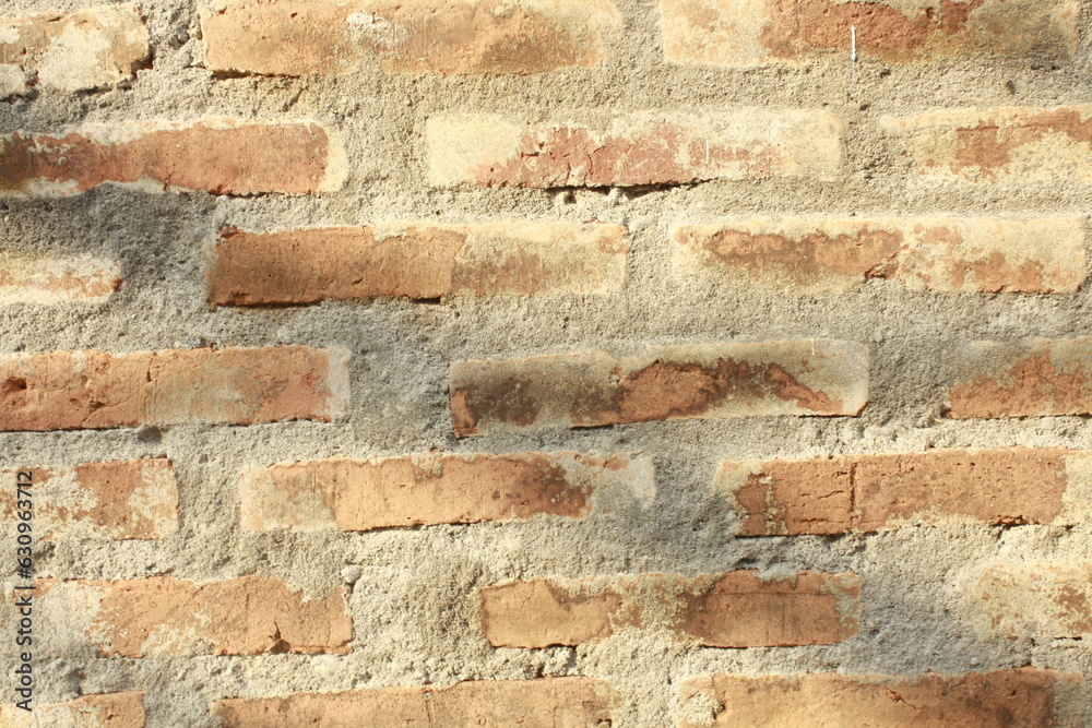 Timeless Charm: Rustic Brick Wall Timeless Charm: Rustic Brick Wall