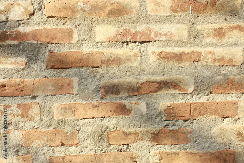 Timeless Charm: Rustic Brick Wall