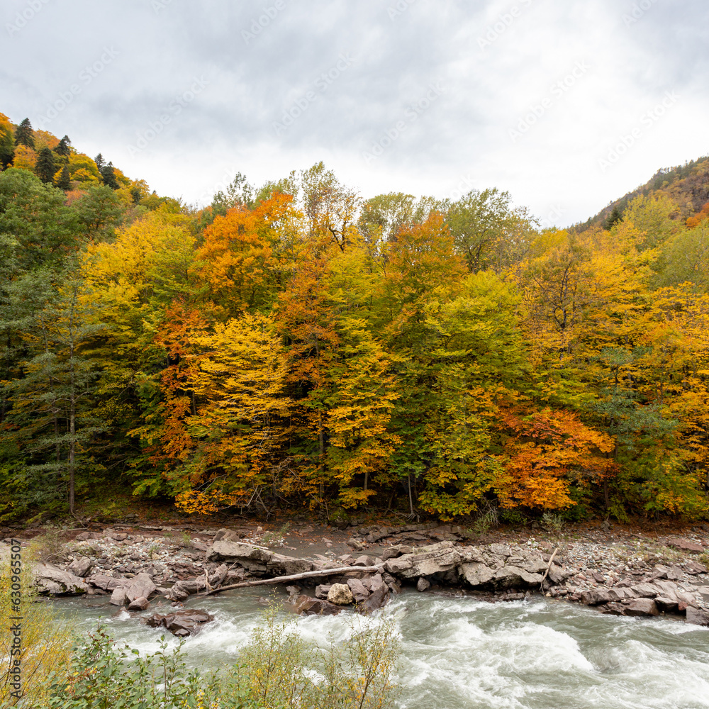 the beginning of autumn, nature walks, a mountain river and a panoramic view of the mountains, hiking trails and recreation in the mountains. the beginning of autumn, nature walks, a mountain river and a panoramic view of the mountains, hiking trails and recreation in the mountains.