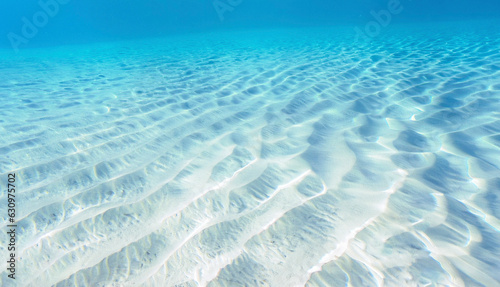 海中の風景、透明度の高い白い砂地の水中、南国の綺麗な海