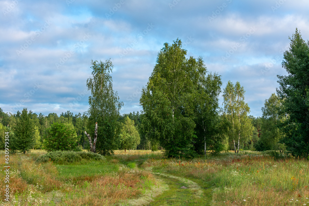 Blooming meadows. Beautiful herbs. Nice walk in nature. Hiking. Blooming meadows. Beautiful herbs. Nice walk in nature. Hiking.