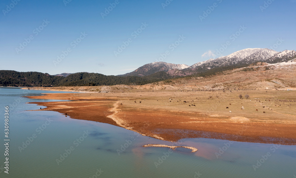 Greece, Aoos Springs Lake, Epirus. Aerial drone view of wild horse herd at artificial lakeside.