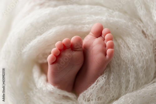 Close up of newborn baby feet and toes