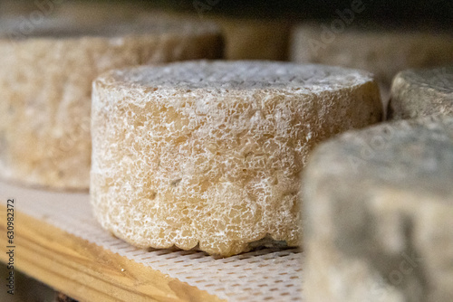 Fototapeta Naklejka Na Ścianę i Meble -  The Gourmet Artisanal Cheese Journey