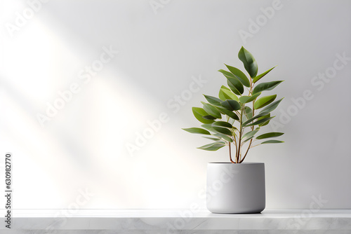 blank table for display of presentation product with white wall room with windows showing sunlight, vase and pot with a plant style of minimalist background, modern interior concept, AI generate