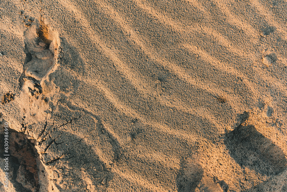 sand dunes in the desert sand dunes in the desert