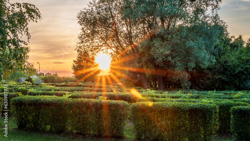 Obraz na płótnie Hedge maze. The setting sun behind the trees. Beautiful park. Cegielnia Park, Zory. w salonie