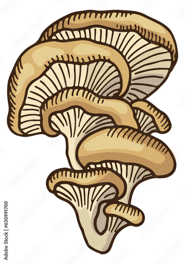 Oyster mushroom icon. Raw fungus color sketch Oyster mushroom icon. Raw fungus color sketch