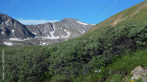 Wallpaper Mural Cinematic slow motion pan to the left Grays and Torreys 14er Rocky Mountains peaks Colorado mid day sunny summer yellow wildflowers peaceful stream blue sky stunning snow at top beautiful morning zoom Torontodigital.ca