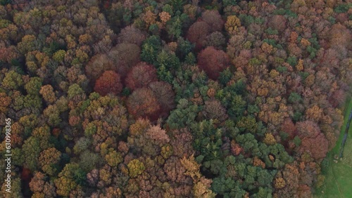 Autumn at Oudemirdum forrest Friesland with colorfull trees, aerial photo