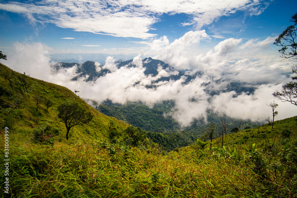 Obraz premium Mountain peak and sunrise covered by the sea of cloud in northern of thailand (Nan province, Thailand) เด่นช้างนอน