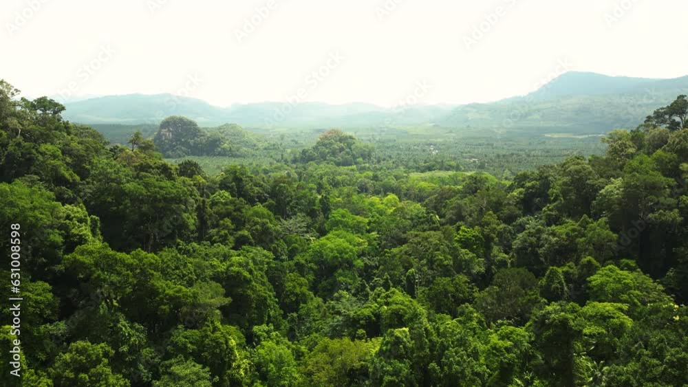 Jungle from above in southern Thailand. Krabi province Jungle from above in southern Thailand. Krabi province