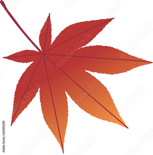 紅葉した紅葉のイラスト