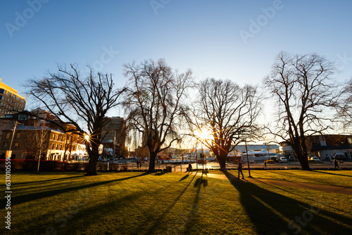 The sunrise through a lush green park with large silhouetted trees and a blue sky in Hobart Tasmania