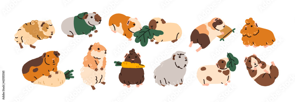 Cute funny guinea pigs set. Adorable baby animals, little rodents. Kawaii small pets. Comic amusing cuddly cavies eating, sleeping. Childish flat vector illustrations isolated on white background
